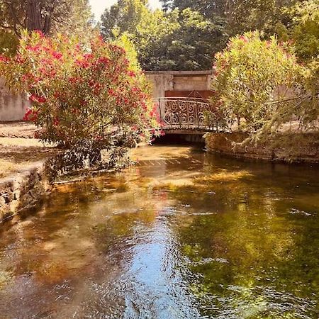 Appartement Fontaine De Vaucluse Екстериор снимка